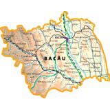 coduri postale din bacau